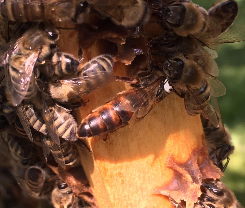 58A7B9FB-C071-4372-9C71-AA738BE92815