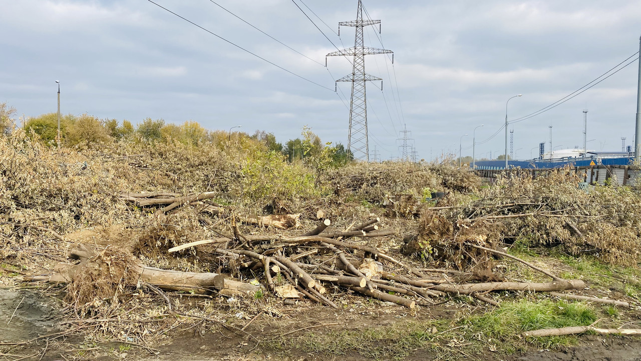 93CD6D64-CA84-4EFA-9231-3D608AE74E34