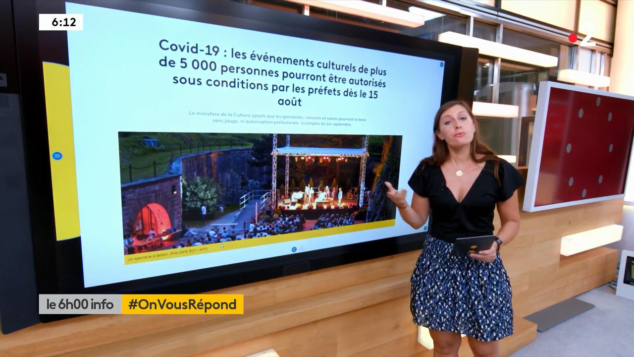 Lise Vogel 110820.mp4_snapshot_00.46_[2020.08.11_17.30.00]