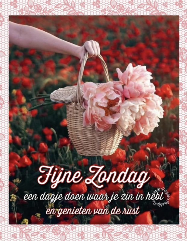 Scherm-afbeelding-2025-03-23-om-00-25-19.png