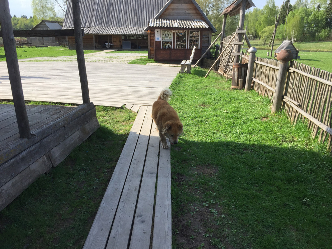 E052B894-8633-407B-BF17-55B21754CE5F