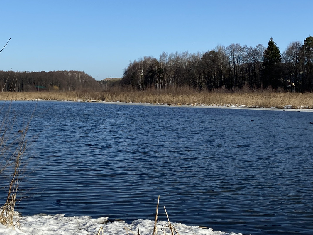 8103FC7A-B186-4875-948B-0B63F6C97EAD