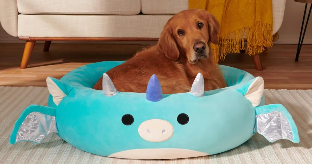 Cozy Up with Squishmallow Pet Beds: Now on Sale
