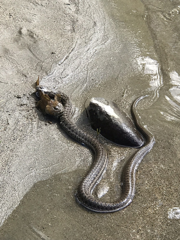 DC991CC8-C535-4DDB-8870-2ABC1941E42B