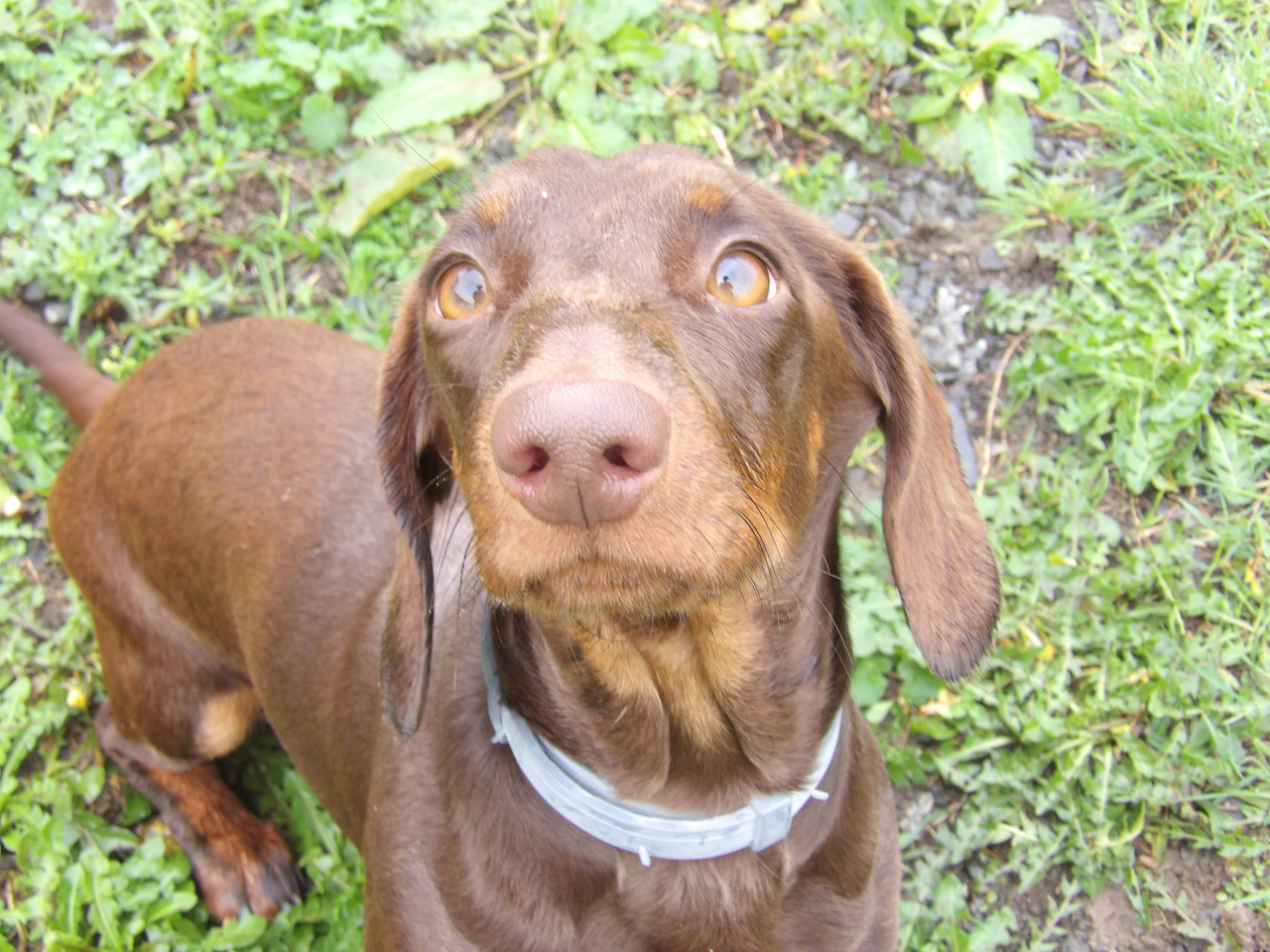 [Image: 125-0392.jpg]