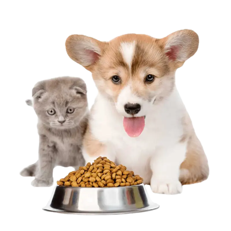 Pets