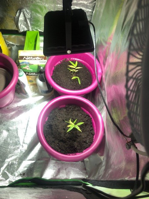 60313749629__8955E044-B65F-47CA-BF85-EFA3899E020D