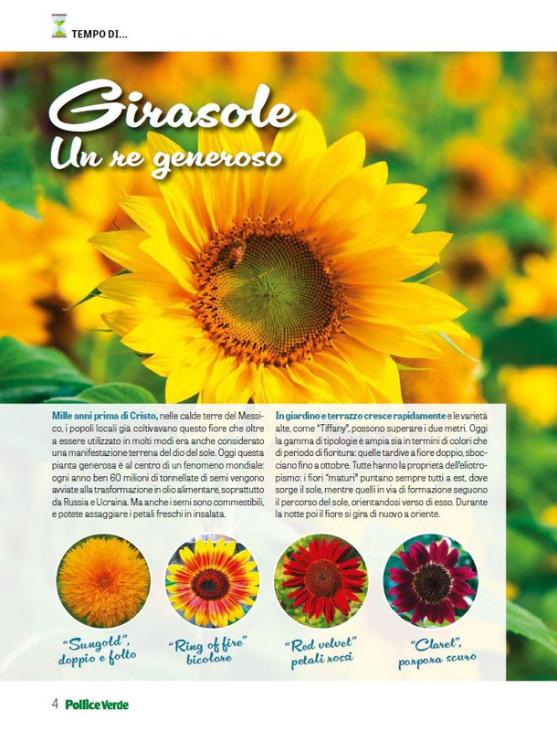 Pol Ver Lug 2025 (1)