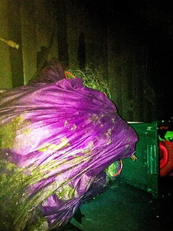 F9BB5318-6588-4D77-9FD3-E517F739FAC5