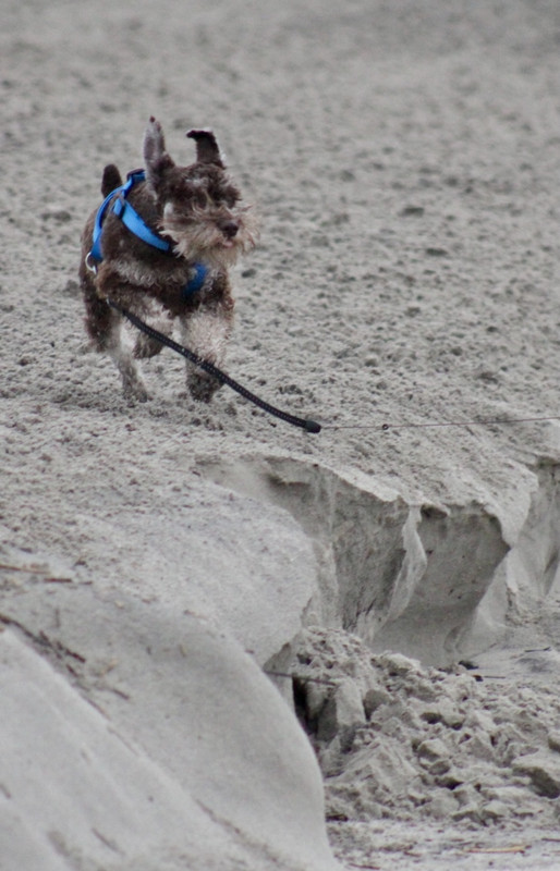 1ACB14C1-98EF-47CC-B5F3-43E9396AE1C4