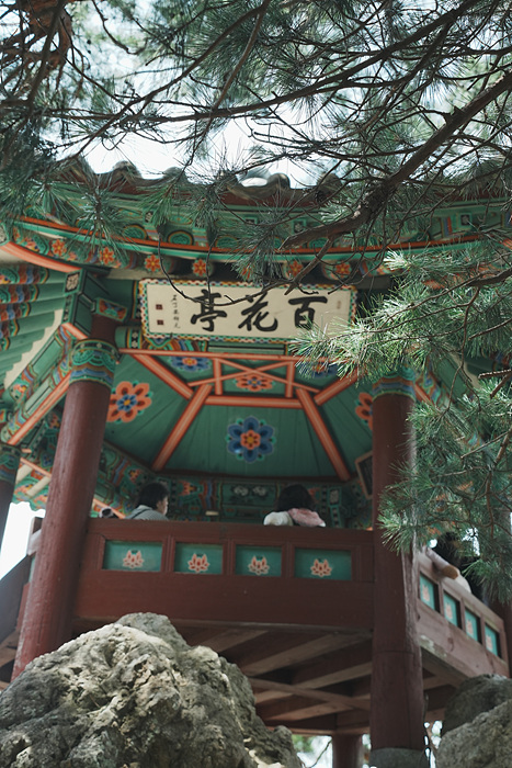 DSC02290