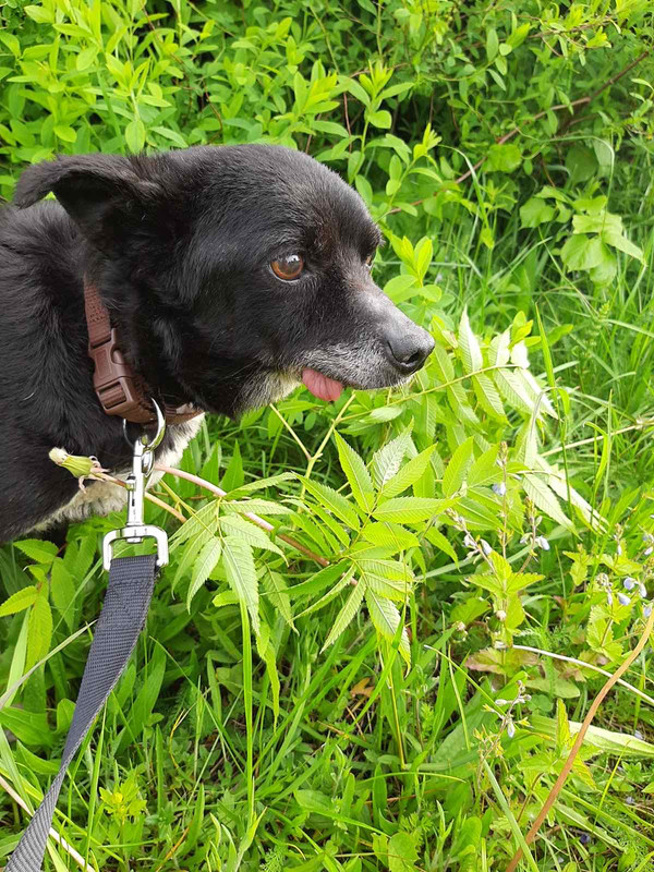 7136F258-971D-4146-AE4E-D088C8527F89