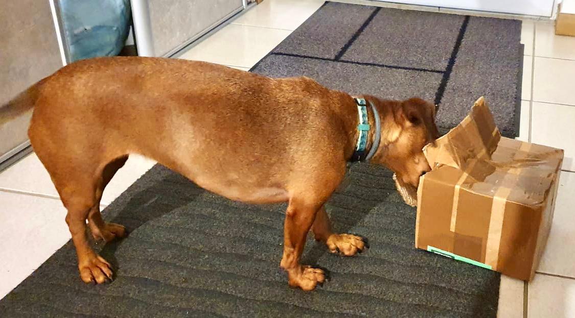 [Image: IMG-20220130-WA0004.jpg]