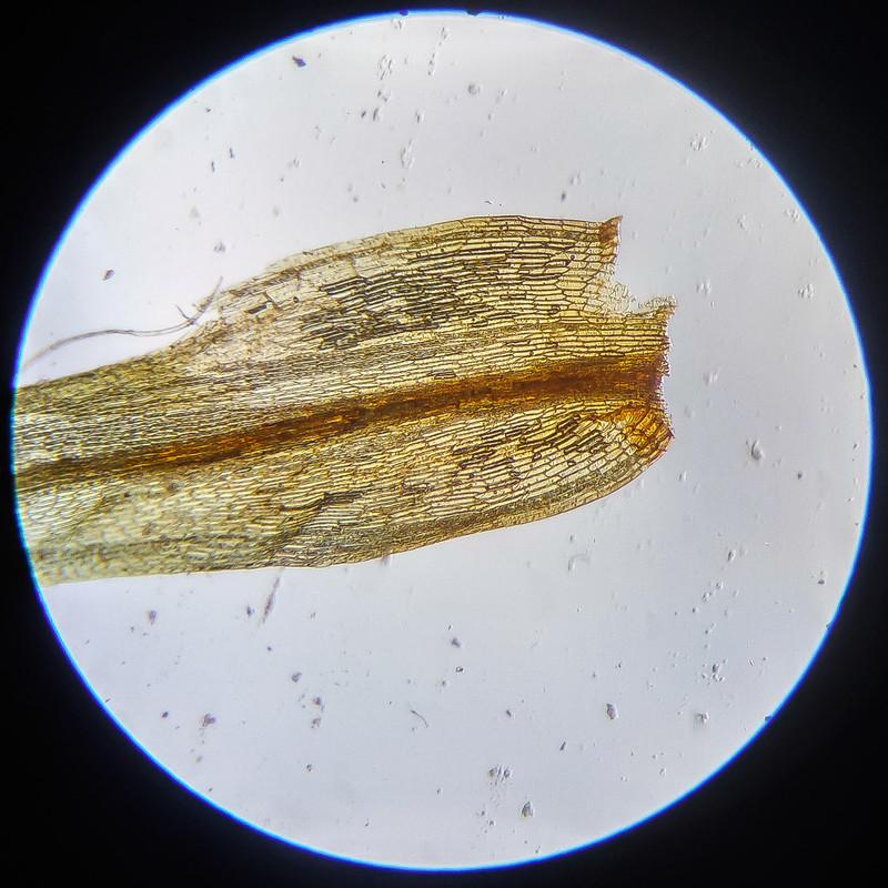 IMG 20250614 112406 HDR