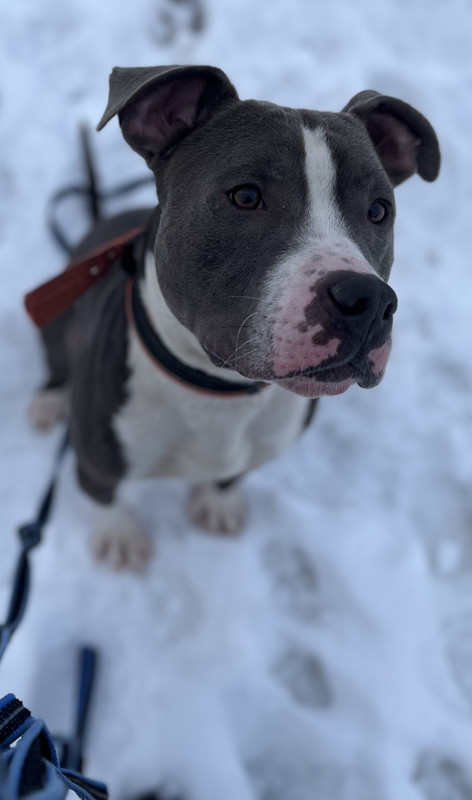 02145B84-A798-4461-8487-195BC551E8E8