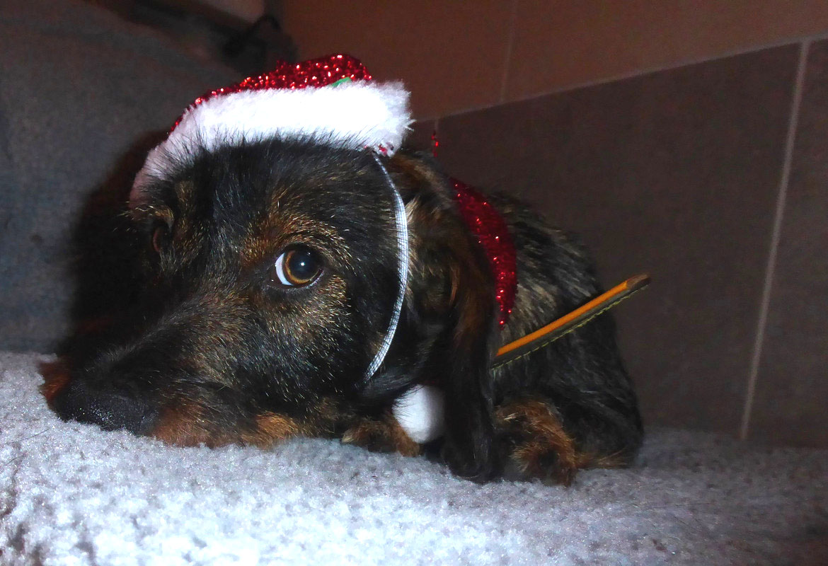 [Image: P1040289.jpg]