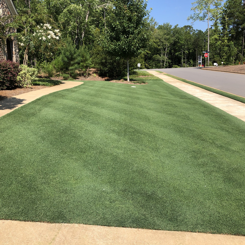 156668F5-AC96-402C-8BDE-A4F45196FDD6