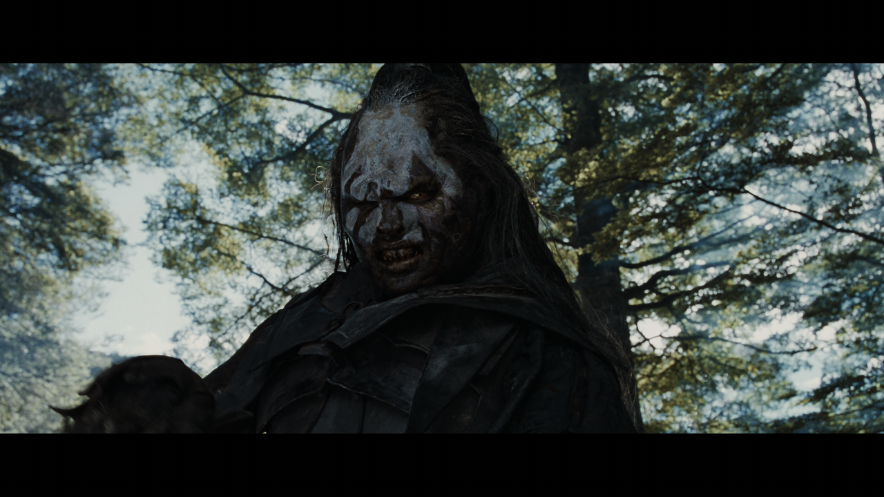 The Lord of the Rings- The Fellowship of the Ring (EXT.).mkv_snapshot_01.24.59_[2020.12.05_23.00.17]