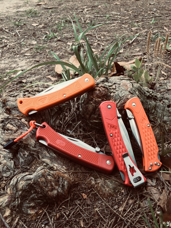 FD3F4988-6A43-4F16-95C6-05E583BAAF30