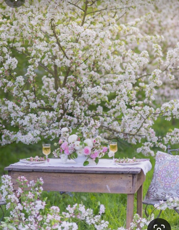 Screenshot_20240331_003350_Pinterest