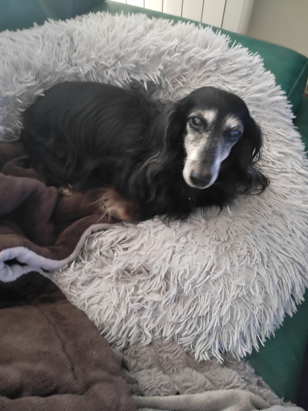 [Image: IMG-20240109-141620.jpg]