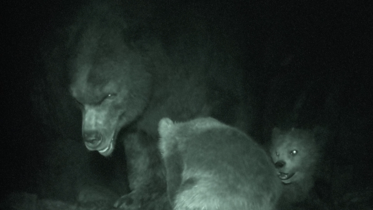 vlcsnap 2025 11 26 03h02m09s192