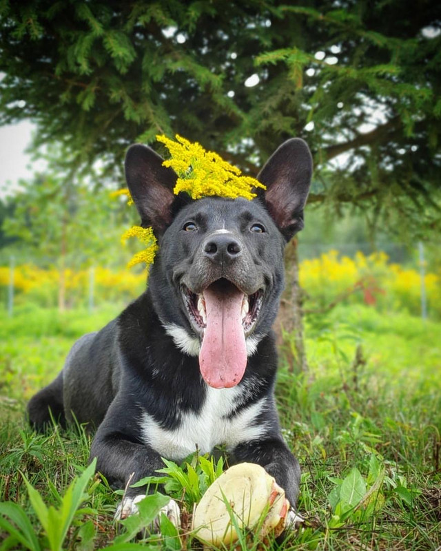 333034A9-A0D7-4C3C-9075-38FA9271FD95