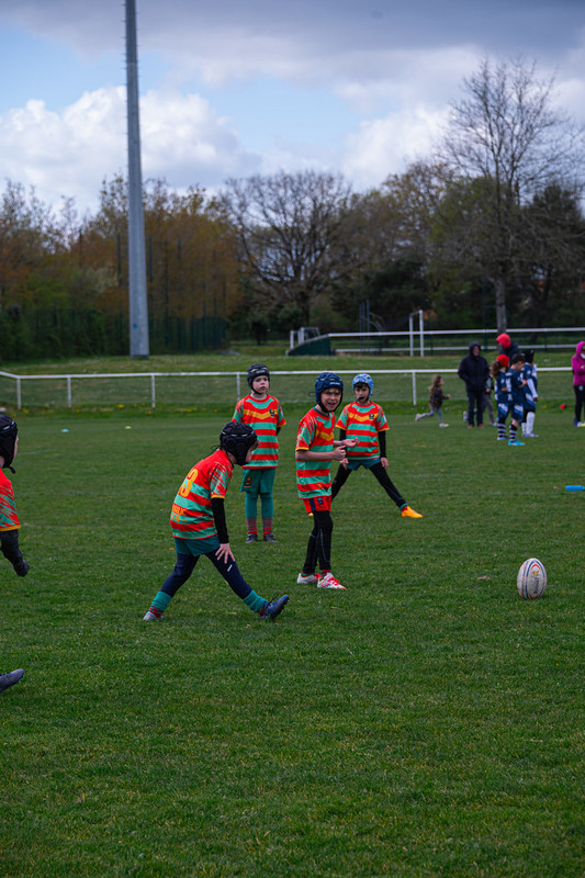 tournoi-de-latlantique-2026-adonis-griffon-122-55181288151-l