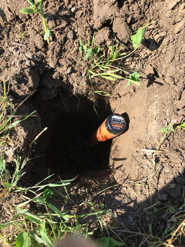 38F31CAD-B76A-4FFA-86D4-8C660DF49B1F