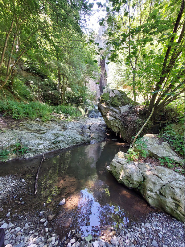 20260614-111946.jpg