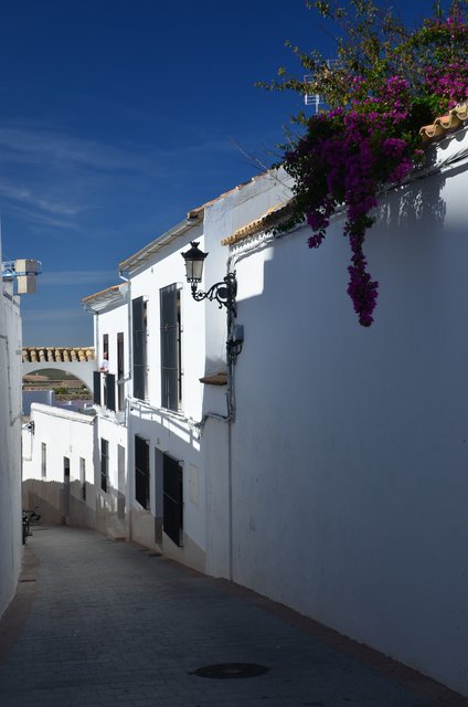 OSUNA-15-10-2021 - Sevilla y sus pueblos-2012/2021 (47)