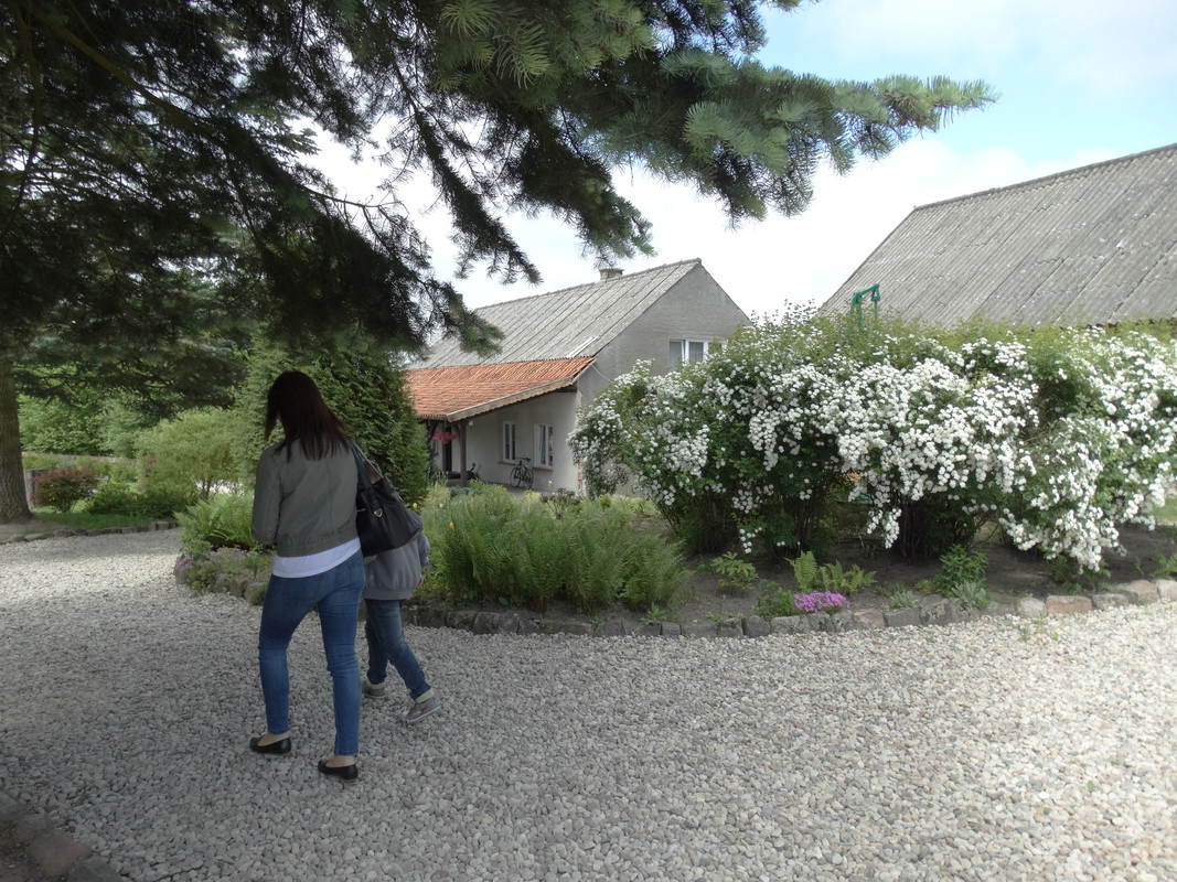 03 - DSC03825 (Czesio1)