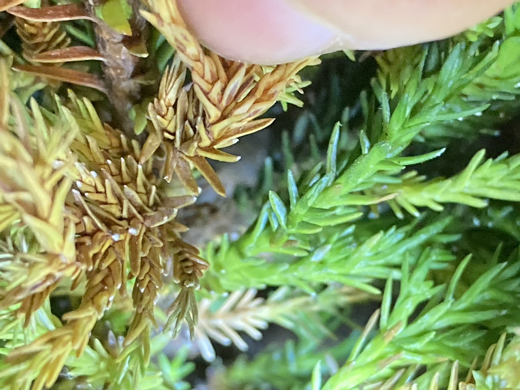 11A75550-E57B-4B95-963D-8A5AB0A0C7B7