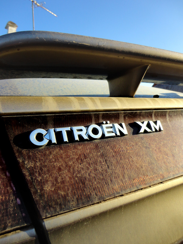 CITRO_XM_ALG1804-Bd1