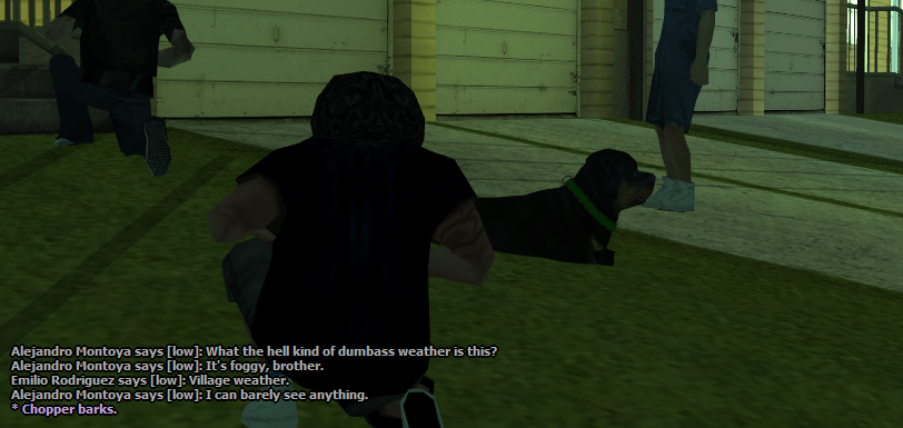 SS29.png