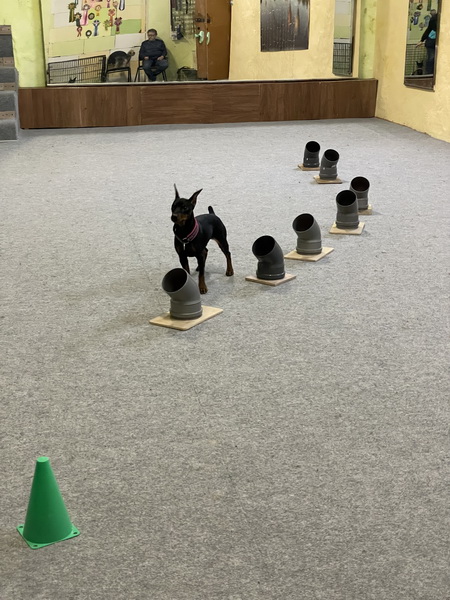 https://i.postimg.cc/VNZgGdfw/IMG-8515.jpg