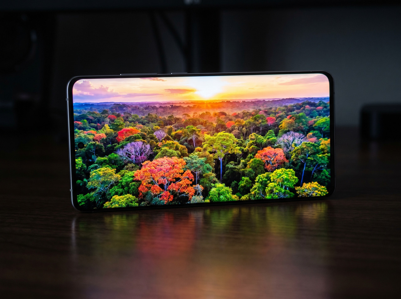 OLED Display Screen