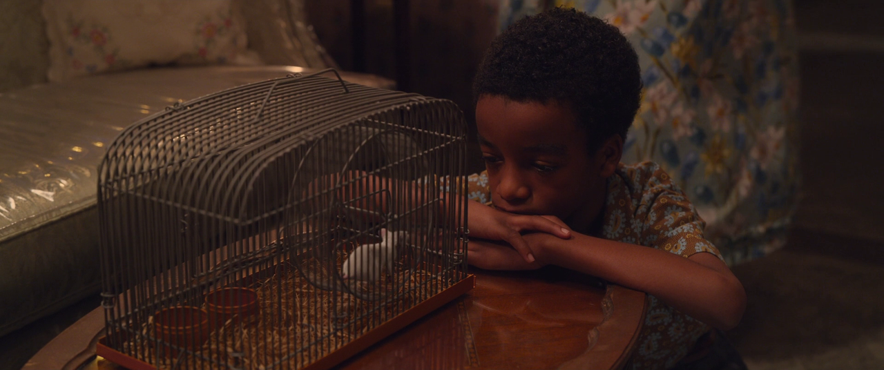 vlcsnap-2020-12-24-11h13m33s129