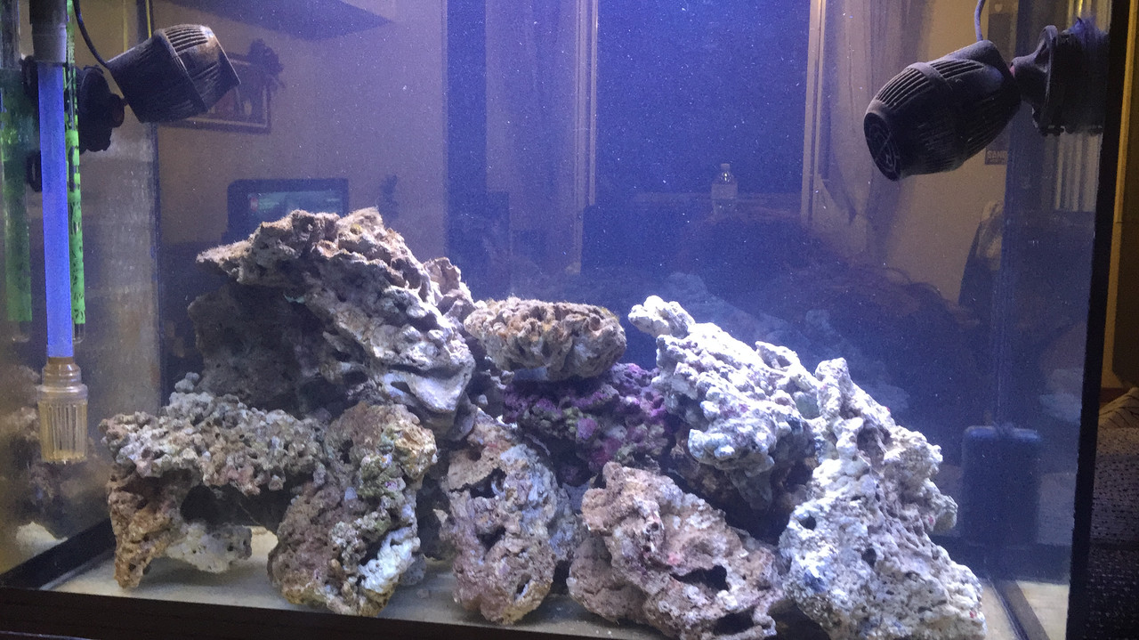 C8BE5802-E83A-48C5-B670-B41E1495664E