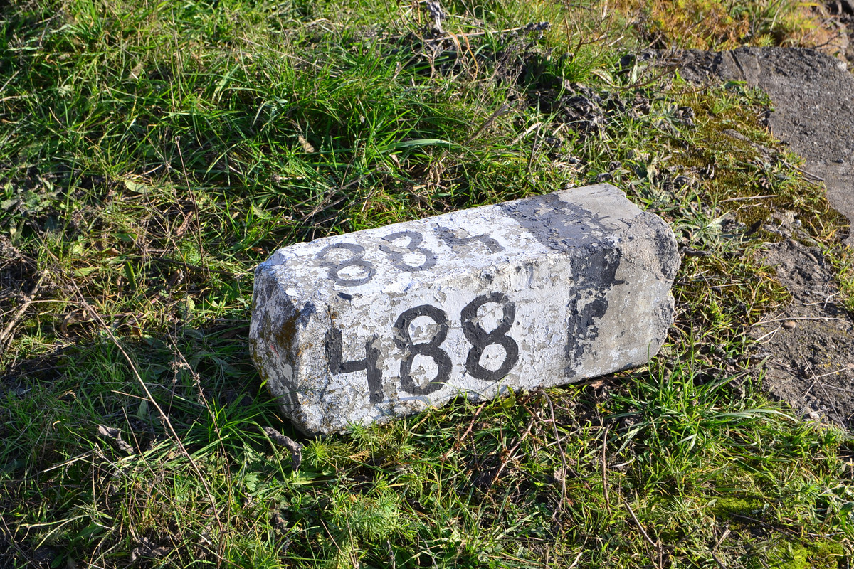2DSC_3759