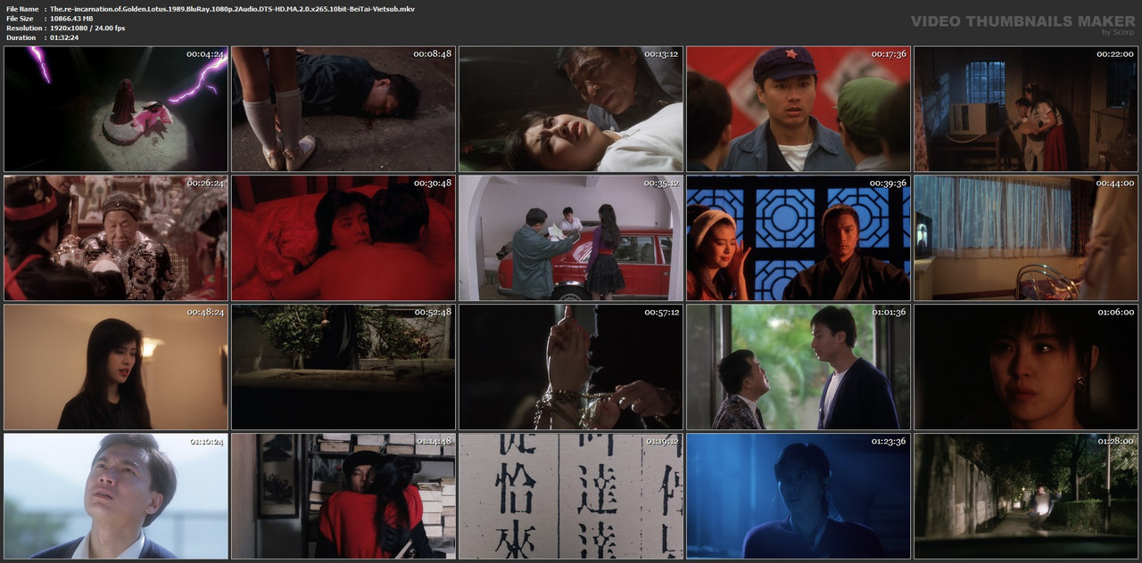 The.re-incarnation.of.Golden.Lotus.1989.BluRay.1080p.2Audio.DTS-HD.MA.2.0.x265.10bit-BeiTai-Vietsub.