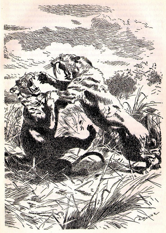 17c3891cc332154cc08461cc1febdc49