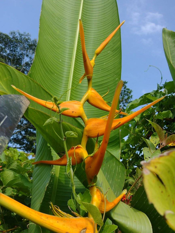 440566067_2020690225041709_991888583203964570_n