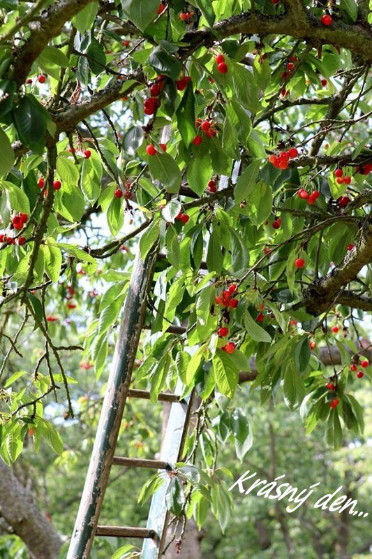 36734426_2606936482863907_289328479030214656_n2