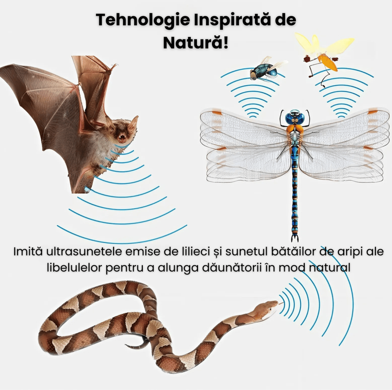 aparat repelent ultrasunete, dispozitiv anti soareci, repelent gandaci si insecte, aparat anti rozatoare, protectie 360 impotriva daunatorilor, ultrasunete anti daunatori, dispozitiv electric anti gandaci, repelent fara chimicale, aparat anti tantari si soareci, solutie eficienta impotriva insectelor, aparat cu ultrasunete pentru casa, dispozitiv electronic anti rozatoare, protectie eficienta impotriva soarecilor, aparat anti insecte cu LED, repelent ultrasonic profesional