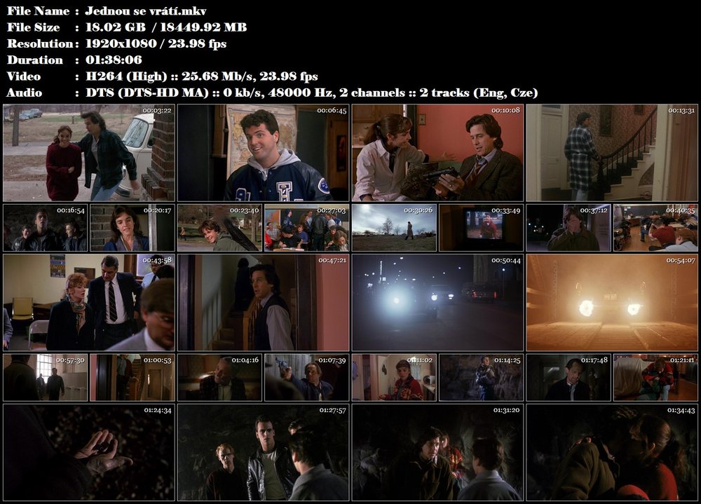 Jednou se vrátí / Sometimes They Come Back  (1991)