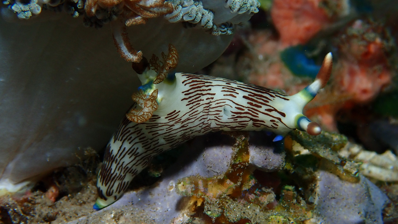 13B427A7-3414-42F4-B251-894A7BCE8DE3