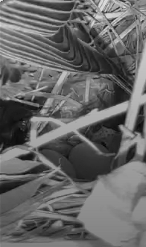 Screenshot 20260403 100758