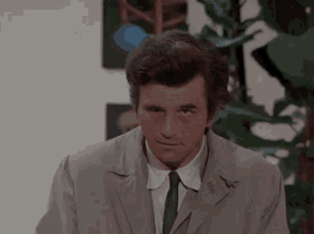 columbo-stare.gif