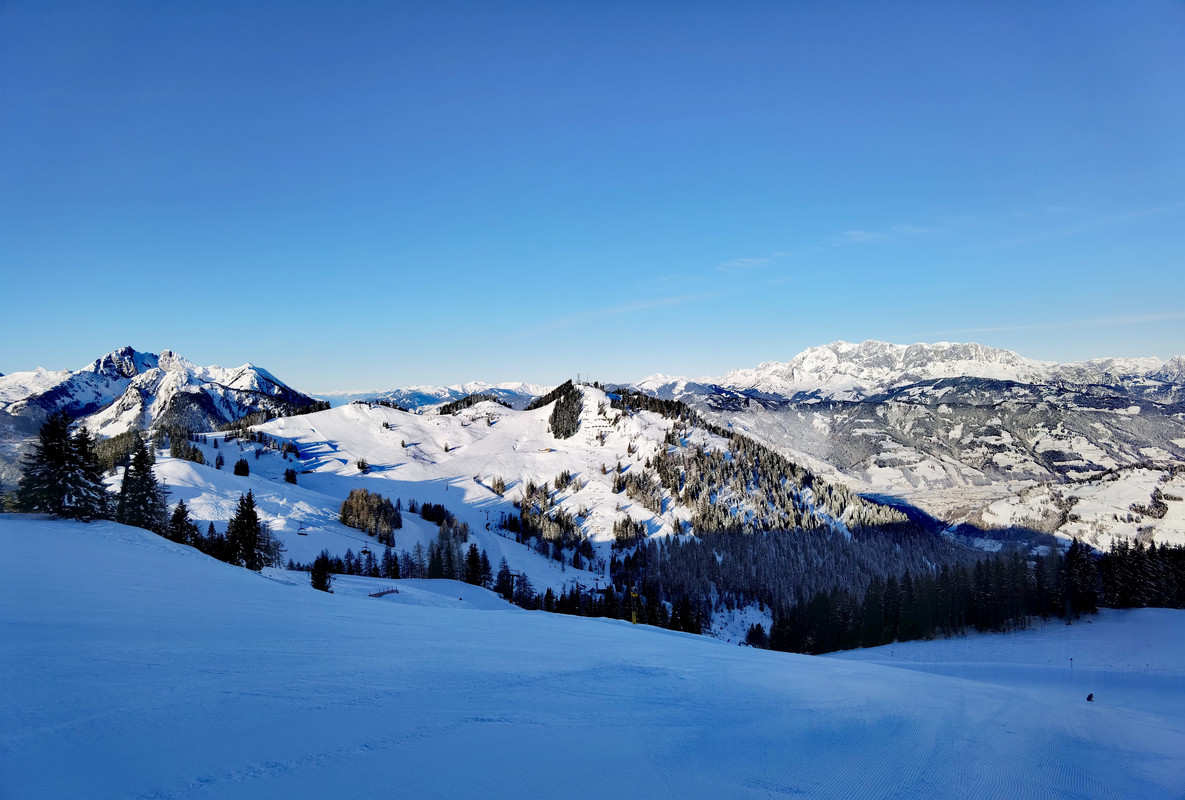 IMG_20220113_093231_edit_623691710034519